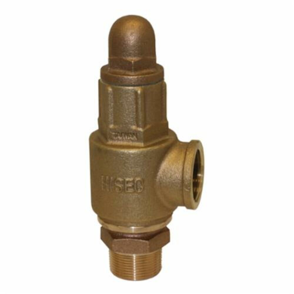 Merrill™ PRVHDNL125 Heavy Duty Pressure Relief Valve, 1-1/4 in, NPT, Domestic