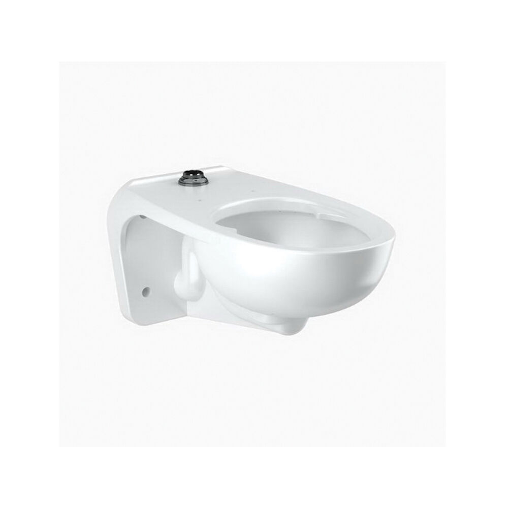 Sloan® 2112459 ST-2459 Top Spud Water Closet With Bed Pan Lugs, Elongated Bowl, 1.1 to 1.6 gpf/4.2 to 6 lpf, White