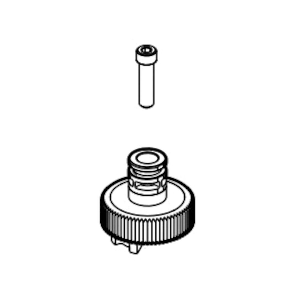 Brizo Levoir™ Insert and Screw