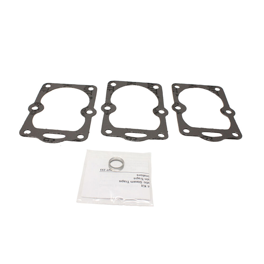 Spirax Sarco 55475 Gasket Kit