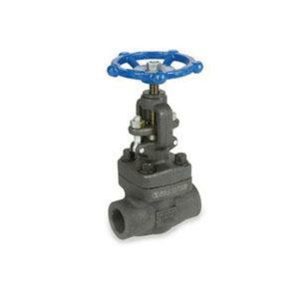 SV44834SW002 1/2 SW 800 Lb A105 FS Globe Valve