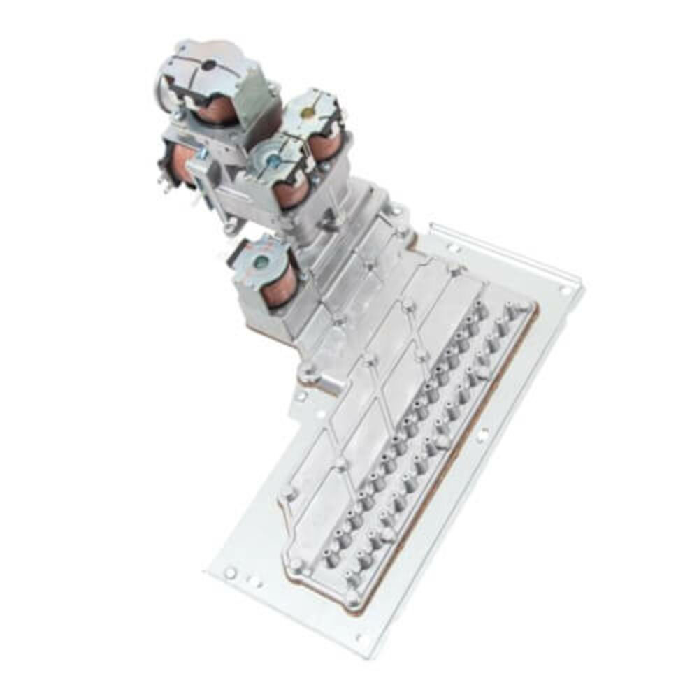 A.O. Smith® 100074232 Manifold Assembly w/ Natural Gas Valve