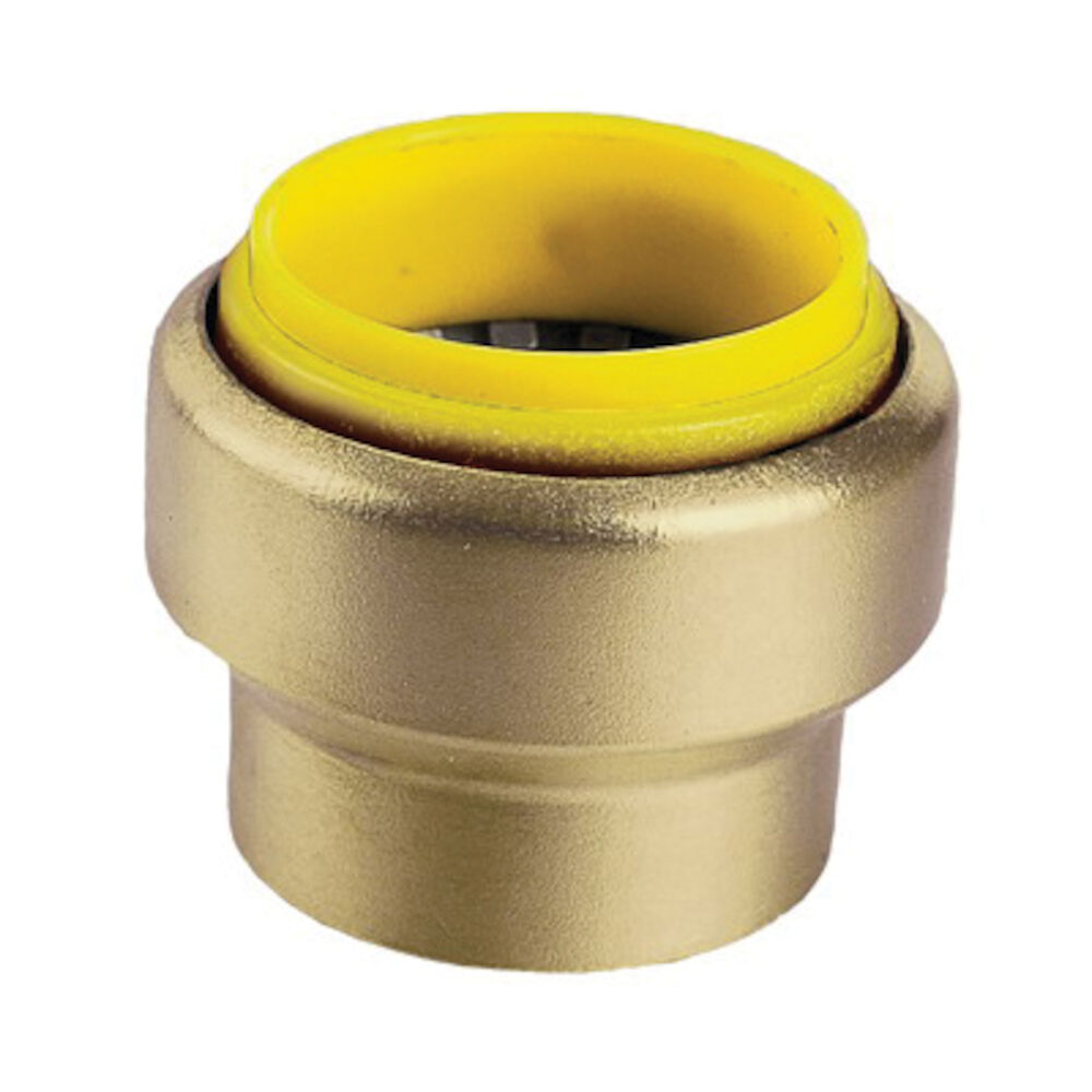 Webstone Pro-Connect ProPush™ 26602 End Cap, 1/2 in, Push, Brass, Import