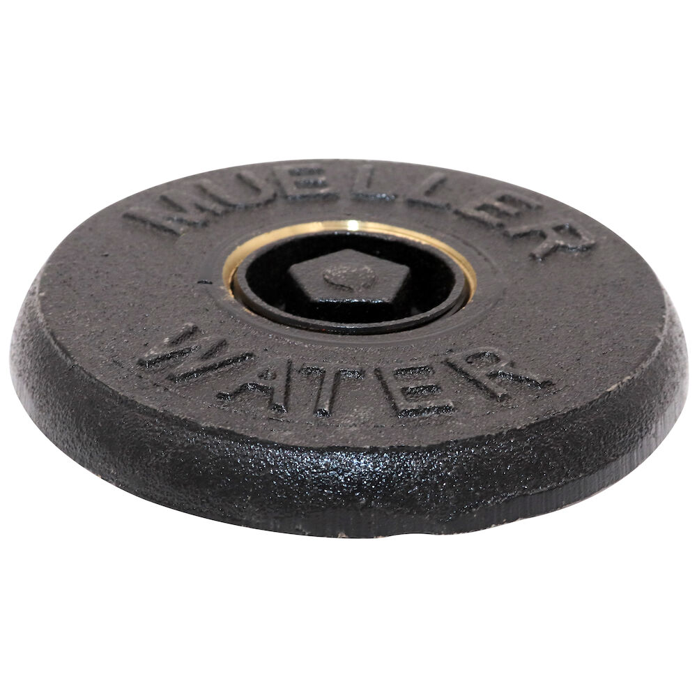 Mueller Co 89375 Lid w/ Plug