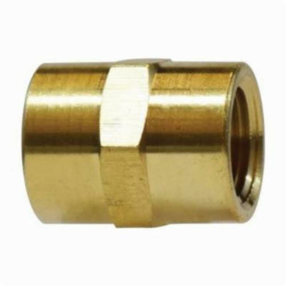 MMM 28058 Pipe Coupling, 1/8 in, FIP, Brass, Import