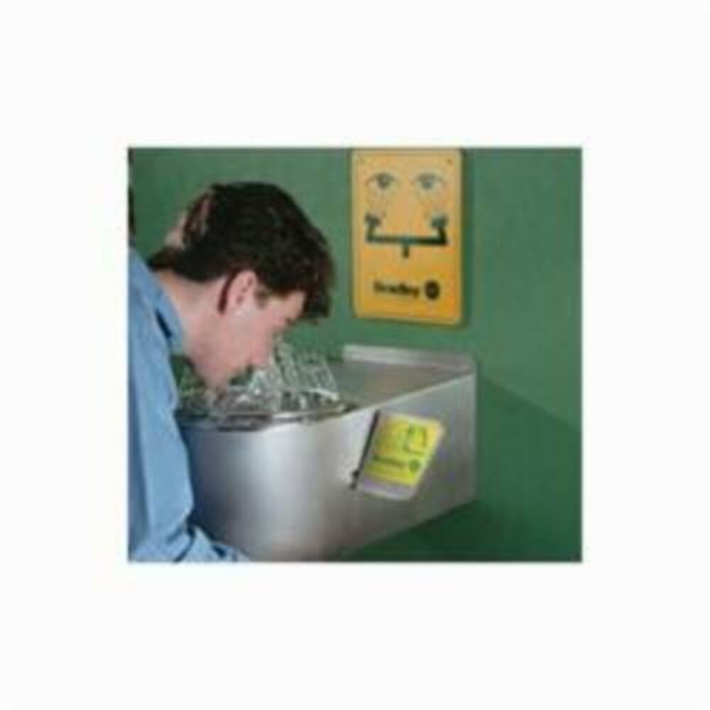 Bradley® S19-220BF Eye/Face Wash With Stainless Steel Bowl, Wall Mounting, Push Handle Operation, Specifications Met: ANSI/ISEA Z358.1