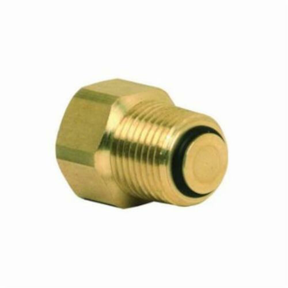 Honeywell SCV-050/U Service Check Valve, 1/2 in, Inlet FNPTxOutlet MNPT, 100 psi Safe Operating, Import