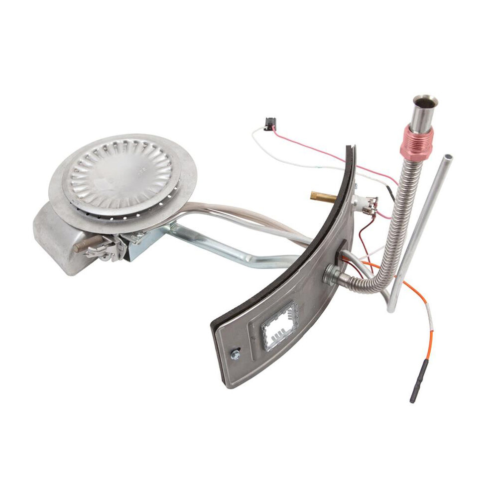 A.O. Smith® 100111334 Propane Gas Burner Door Assembly