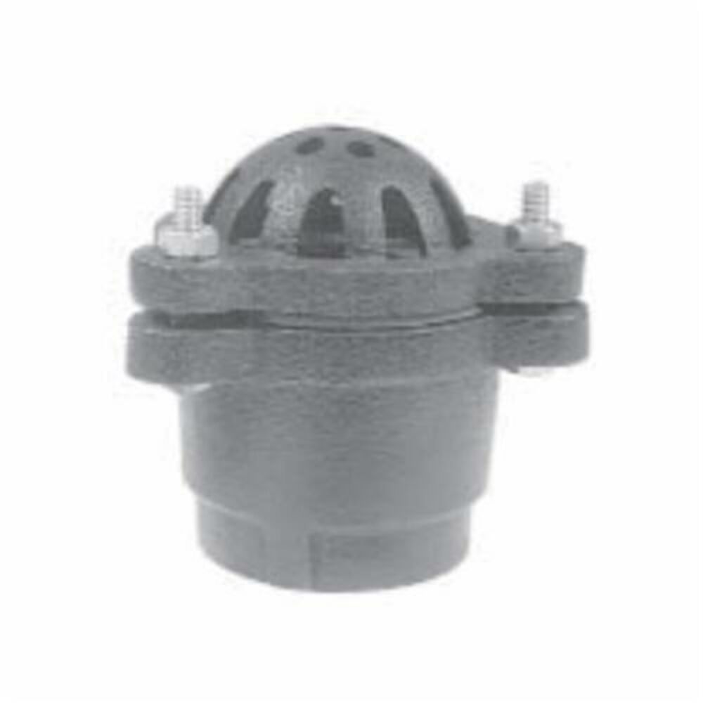 931671 540 Foot Valve, 2", IPS, Cast Iron